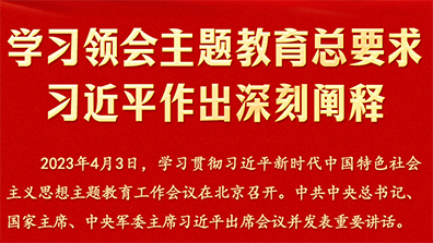 學習領(lǐng)會主題教育總要求習近平做出深刻闡釋